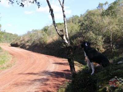 29º RALLY CIDADE DE NOVA PRATA